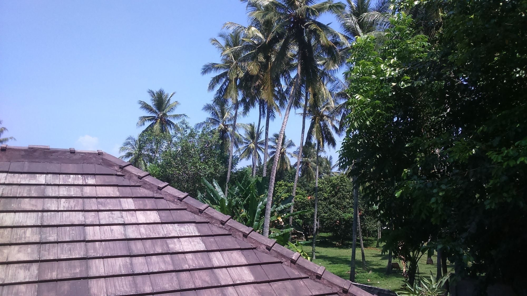 เซงกีกี คอตเทจ ลมโบะก์ Hotel ภายนอก รูปภาพ